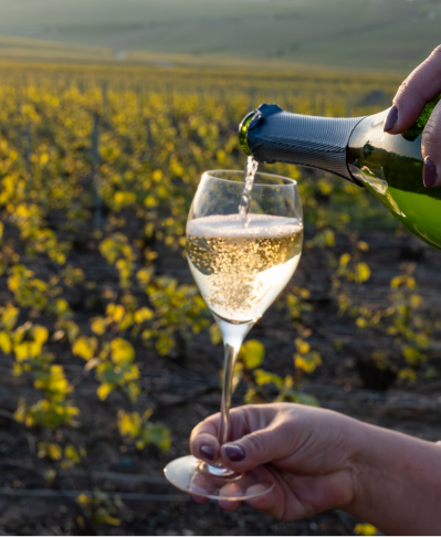 Champagne