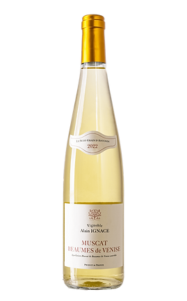 Beaumes de Venise, Blanc, Muscat Le petit grain d'Antonin